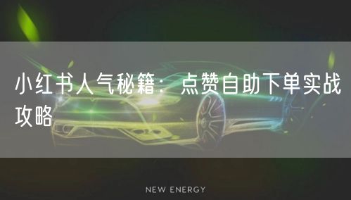 小红书人气秘籍:点赞自助下单实战攻略