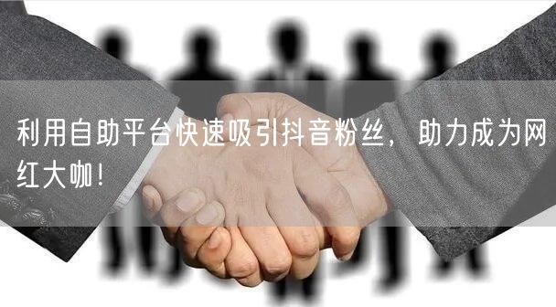 利用自助平台快速吸引抖音粉丝，助力成为网红大咖！