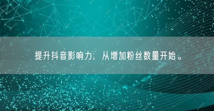 提升抖音影响力，从增加粉丝数量开始。