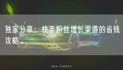 独家分享：快手粉丝增长渠道的省钱攻略。