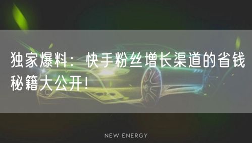 独家爆料：快手粉丝增长渠道的省钱秘籍大公开！