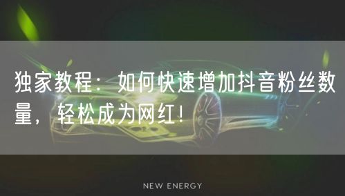 独家教程：如何快速增加抖音粉丝数量，轻松成为网红！