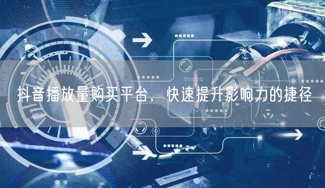 抖音播放量购买平台，快速提升影响力的捷径