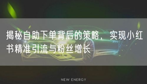 揭秘自助下单背后的策略,实现小红书精准引流与粉丝增长