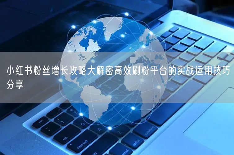 小红书粉丝增长攻略大解密高效刷粉平台的实战运用技巧分享