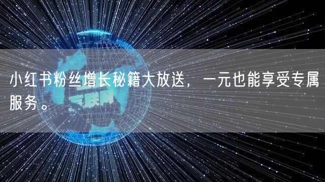 小红书粉丝增长秘籍大放送,一元也能享受专属服务。