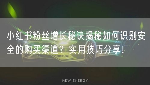 小红书粉丝增长秘诀揭秘如何识别安全的购买渠道?实用技巧分享!