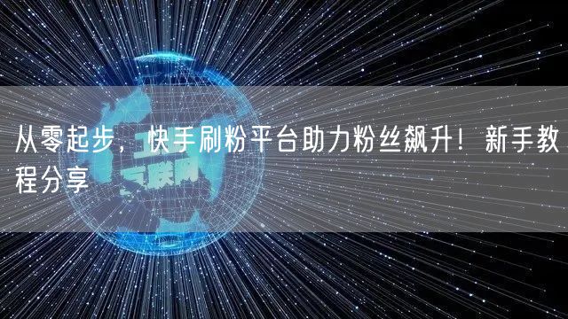 从零起步,快手刷粉平台助力粉丝飙升!新手教程分享