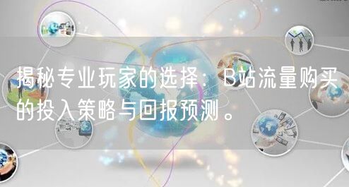 揭秘专业玩家的选择:B站流量购买的投入策略与回报预测。