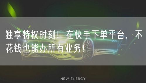 独享特权时刻!在快手下单平台,不花钱也能办所有业务!